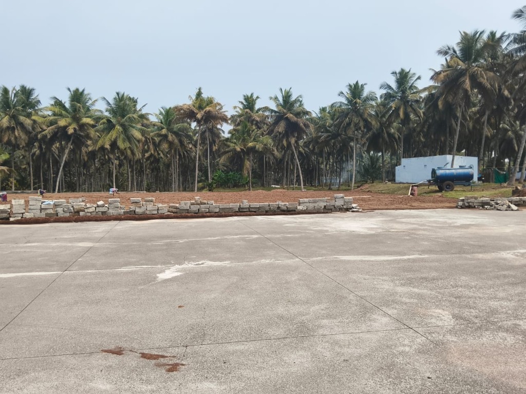 Open concrete sun drying yard surrounded by palm trees